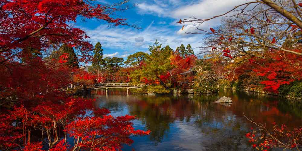 Otoño en Japón