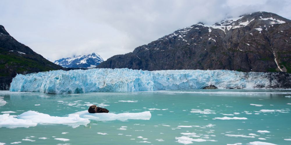 Svalbard aventura polar entre glaciares y auroras