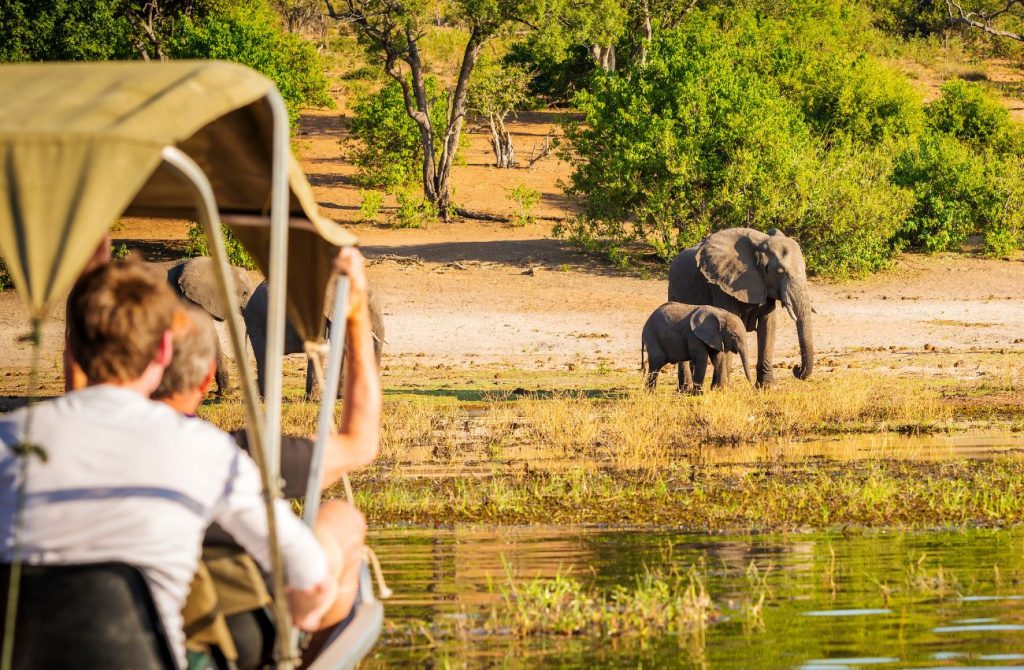 Safari en África del Sur