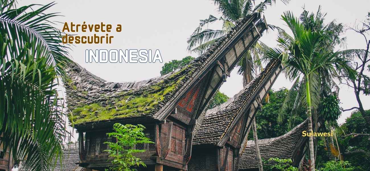 Viajar a Indonesia