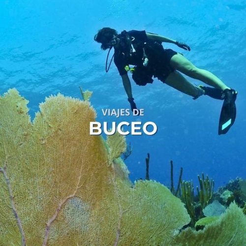 Viajes de buceo