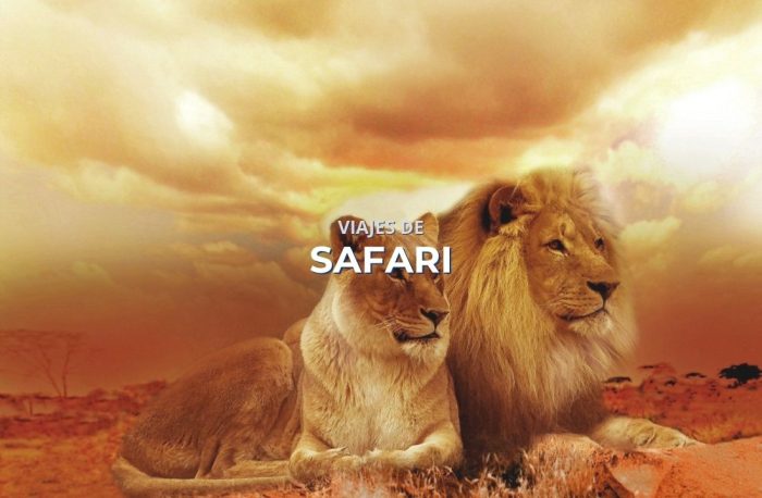 Viajes de safari