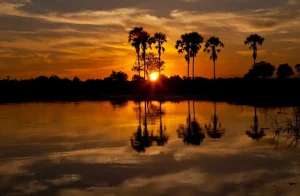 safari en Botswana