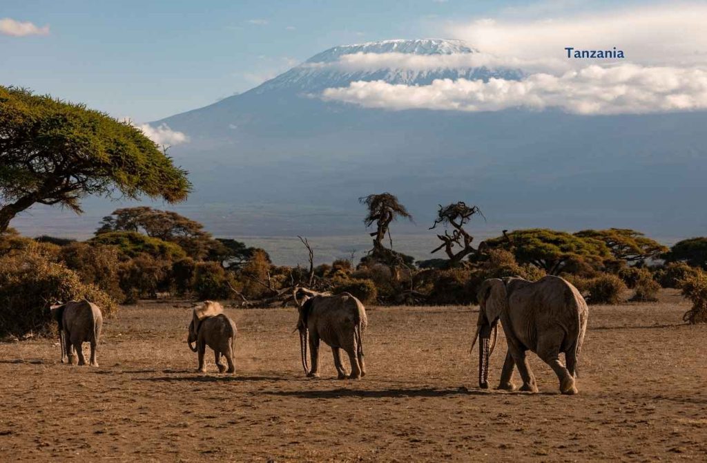 Safari privado Tanzania
