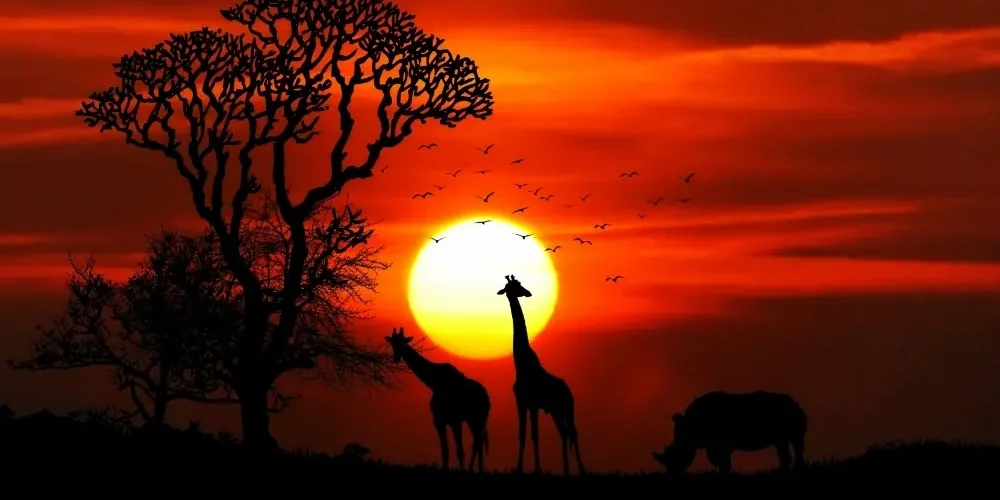 Atardecer en Botswana con bandada de pájaros y pareja de jirafas