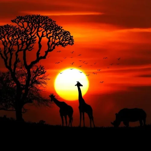 Atardecer en Botswana con bandada de pájaros y pareja de jirafas