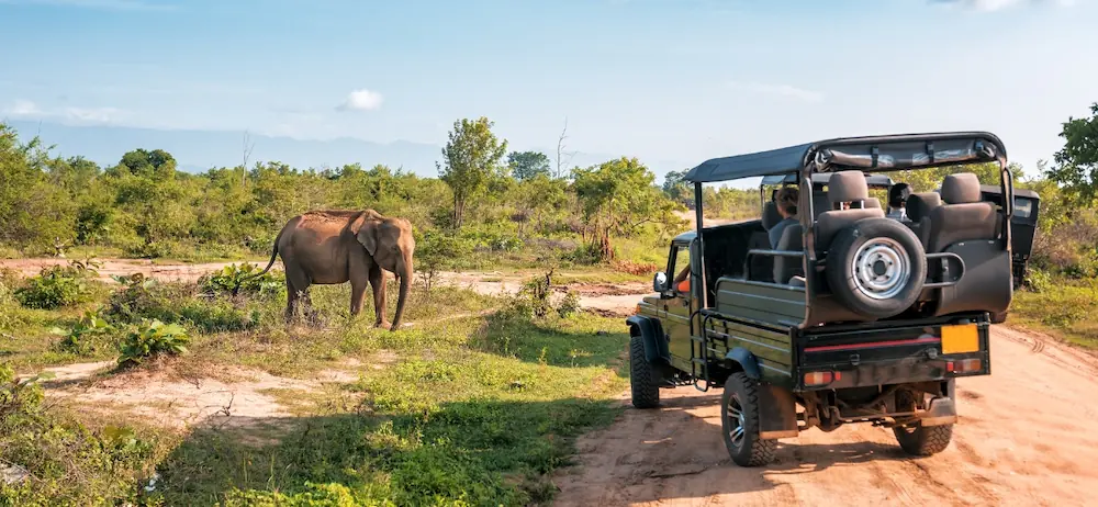 fauna salvaje en Botswana