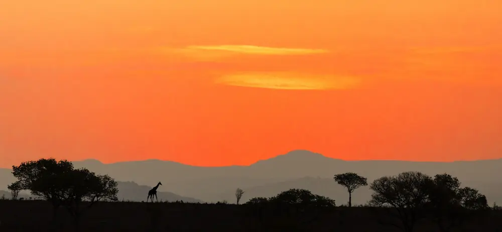 viajes combinados por África