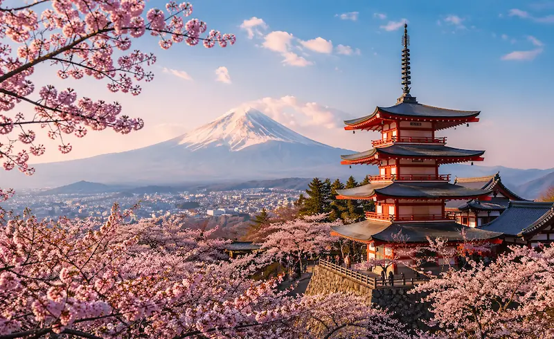 Templo tradicional de Asia con cerezos en flor y montaña al fondo