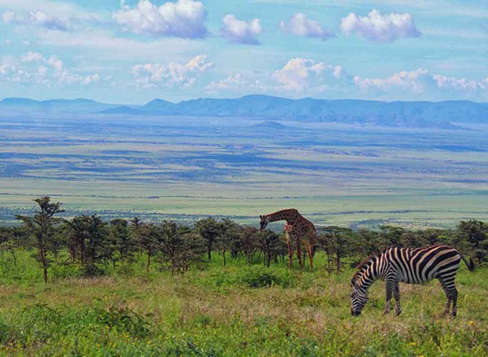 La Gran Migración de Tanzania a Kenia