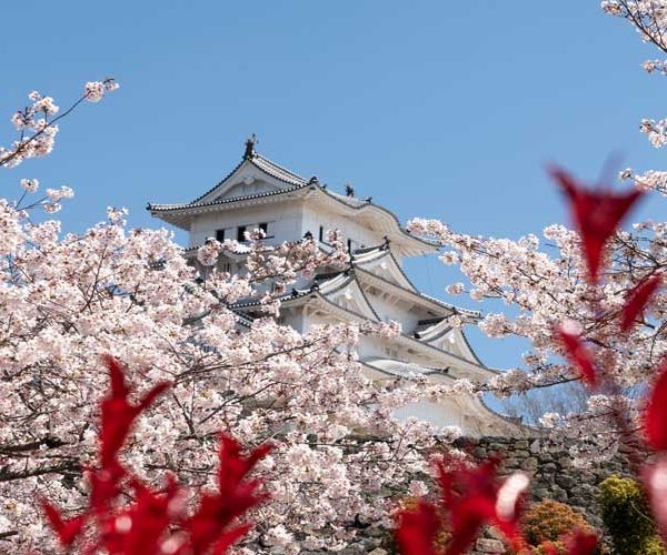 Viajar a Japón ya es posible