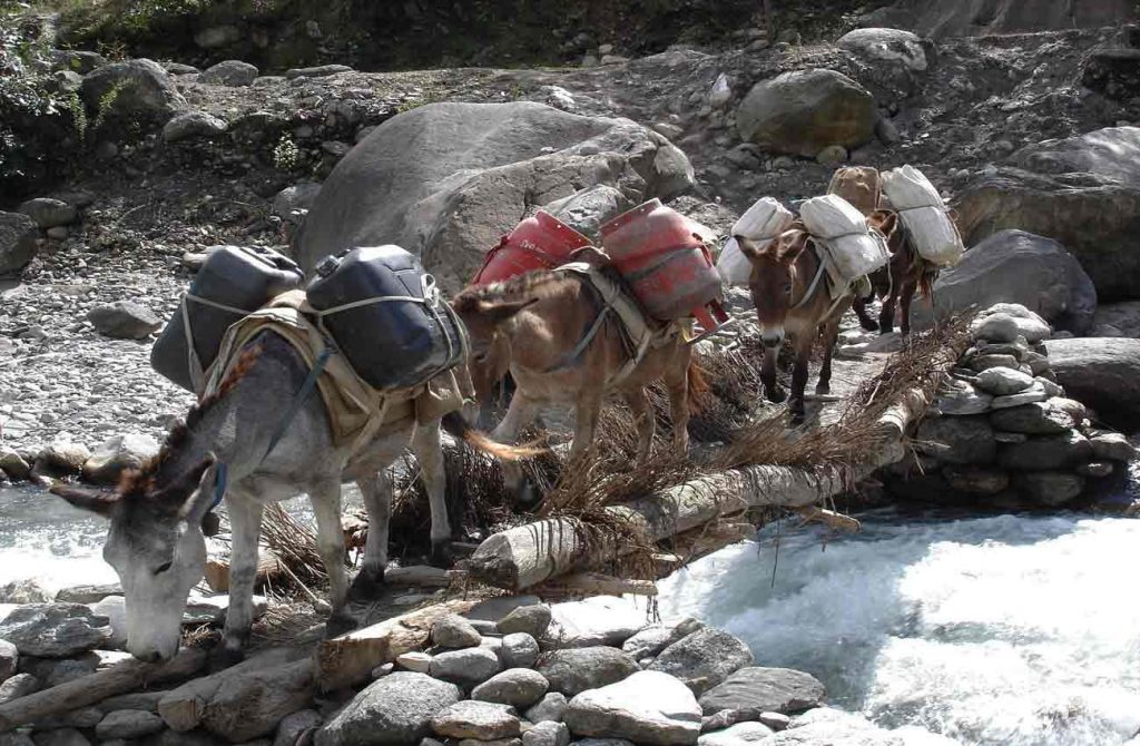 Tour del Manaslu