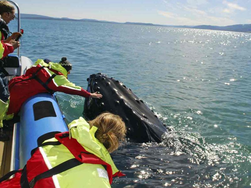 Descubriendo Islandia en una semana