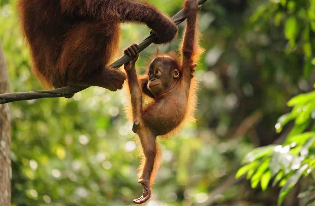 Indonesia para niños