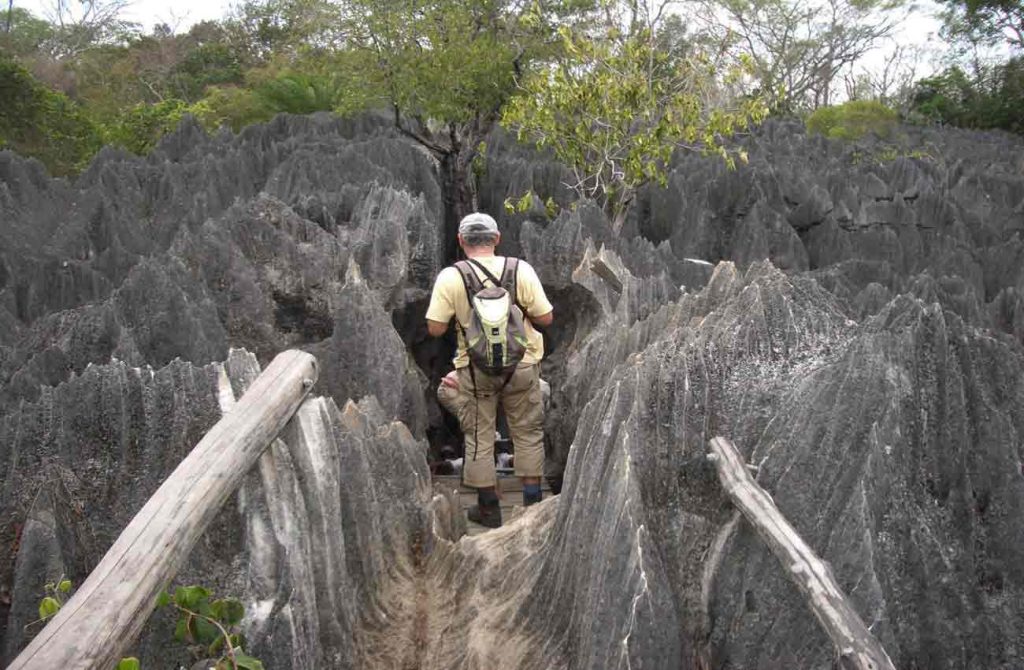 Madagascar tsingys lemures y baobabs