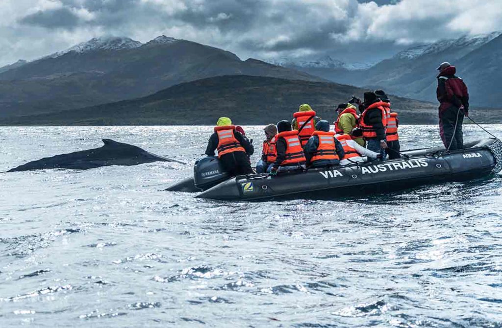 Crucero expedición por el fin del mundo