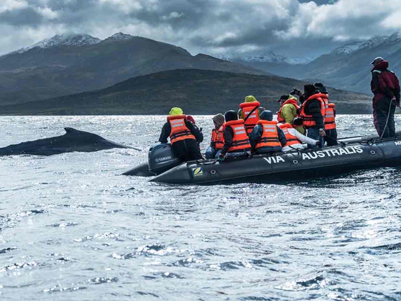 Crucero expedición por el fin del mundo