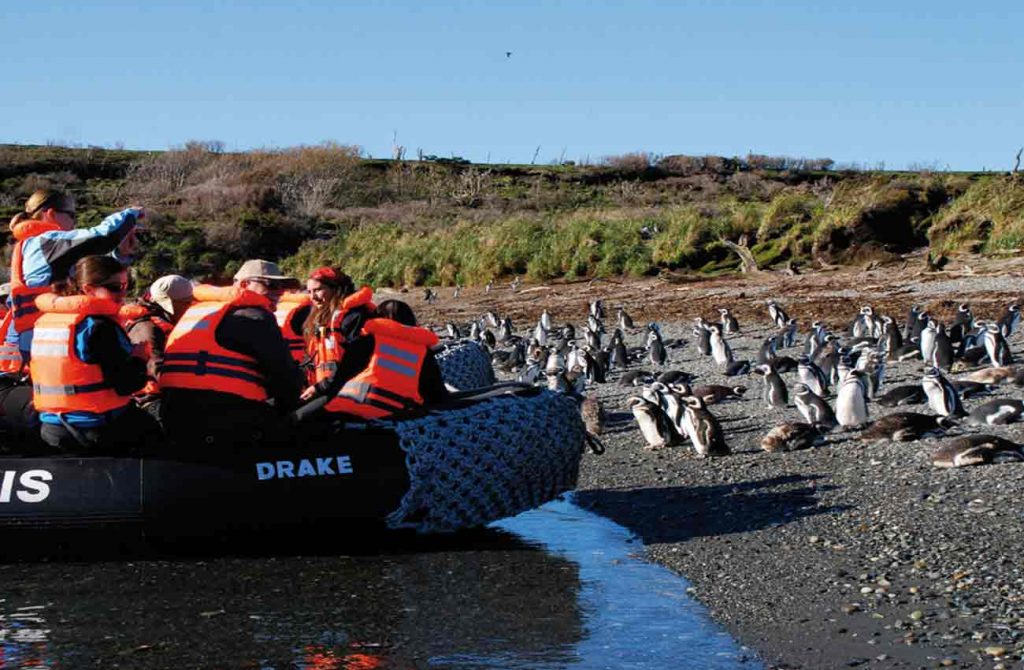 Crucero expedición por el fin del mundo