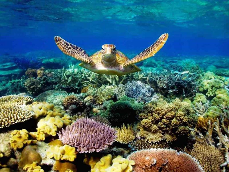 Australia y la Gran Barrera de Coral