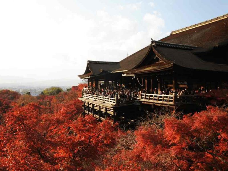 Contrastes de Japón