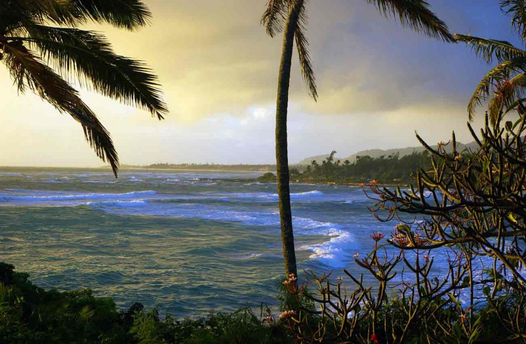 Hawaii activo