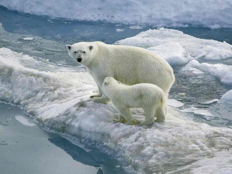 Travesía en el norte de Spitsbergen