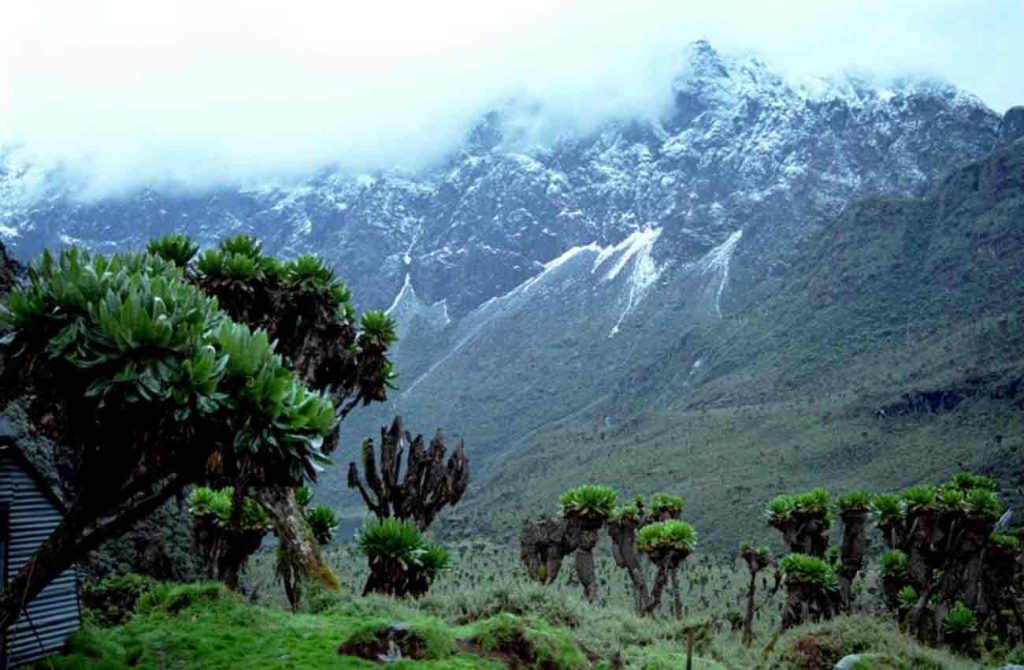 Expedición al Pico Margarita Ruwenzori