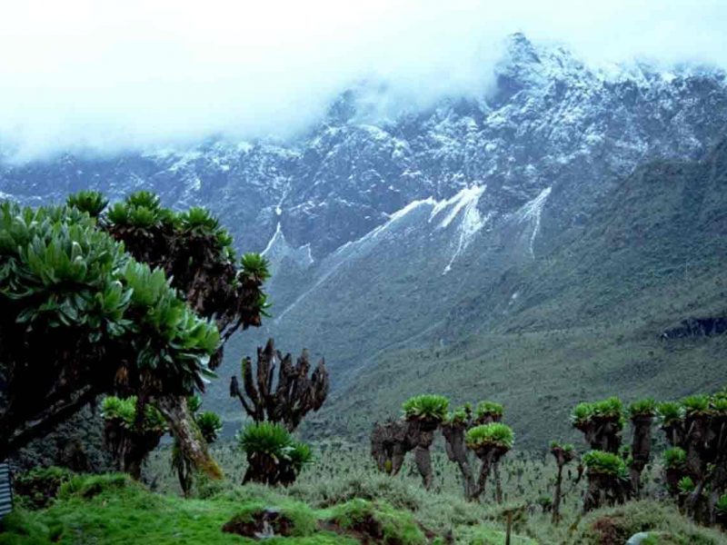 Expedición al Pico Margarita Ruwenzori