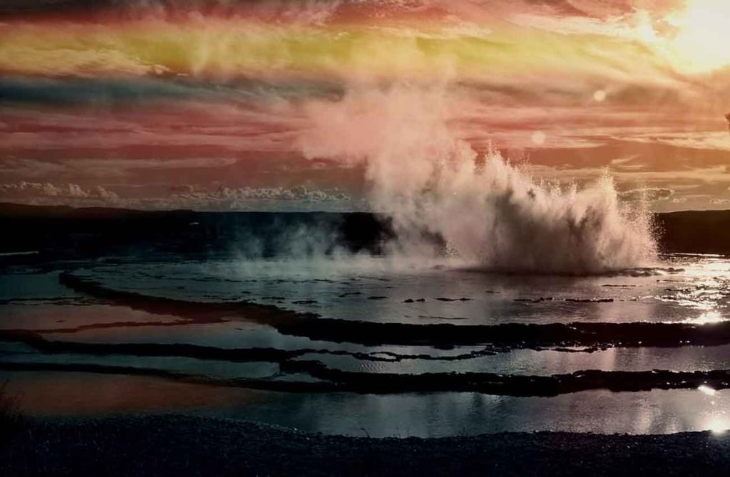 Yellowstone y Grand Teton en libertad