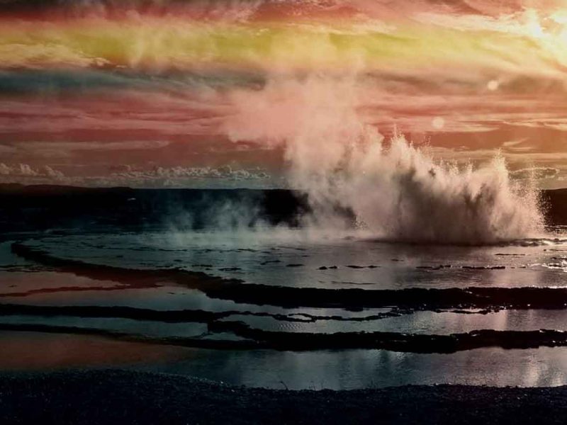 Yellowstone y Grand Teton en libertad
