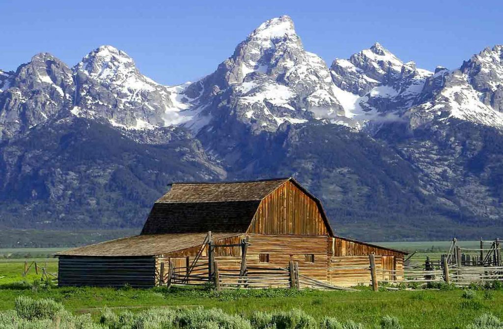 Yellowstone y Grand Teton en libertad