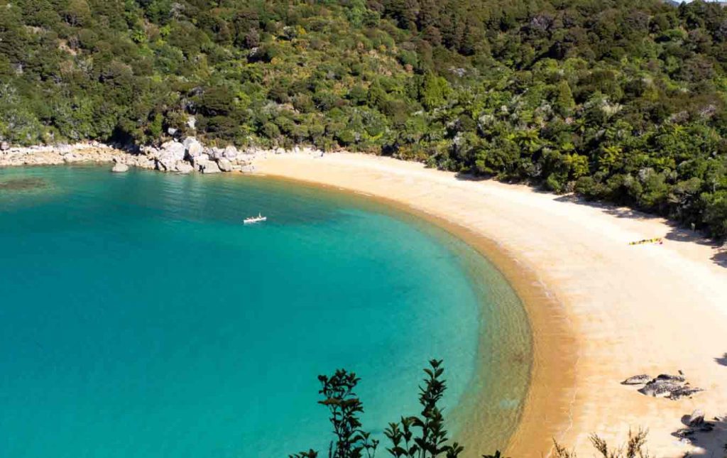 Nueva Zelanda e Islas Fiyi