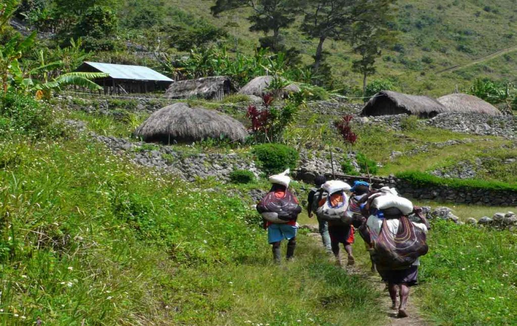 Trekking en el Valle de Baliem