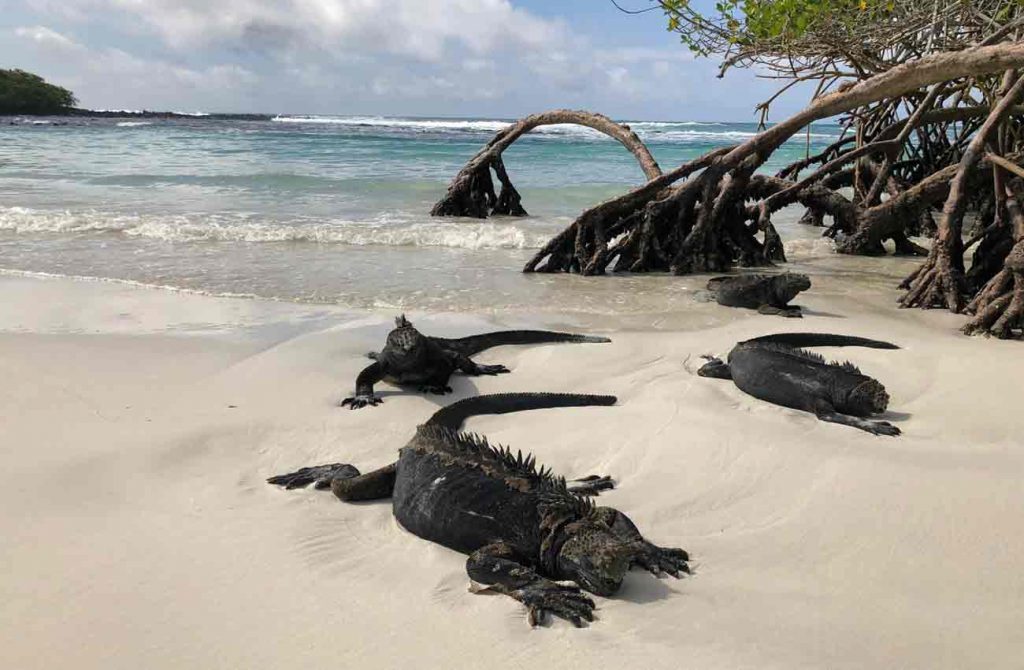 Encantos de las Islas Galápagos