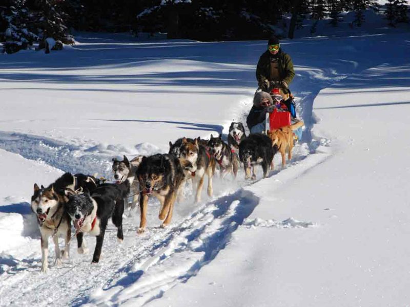 Invierno activo en Laponia
