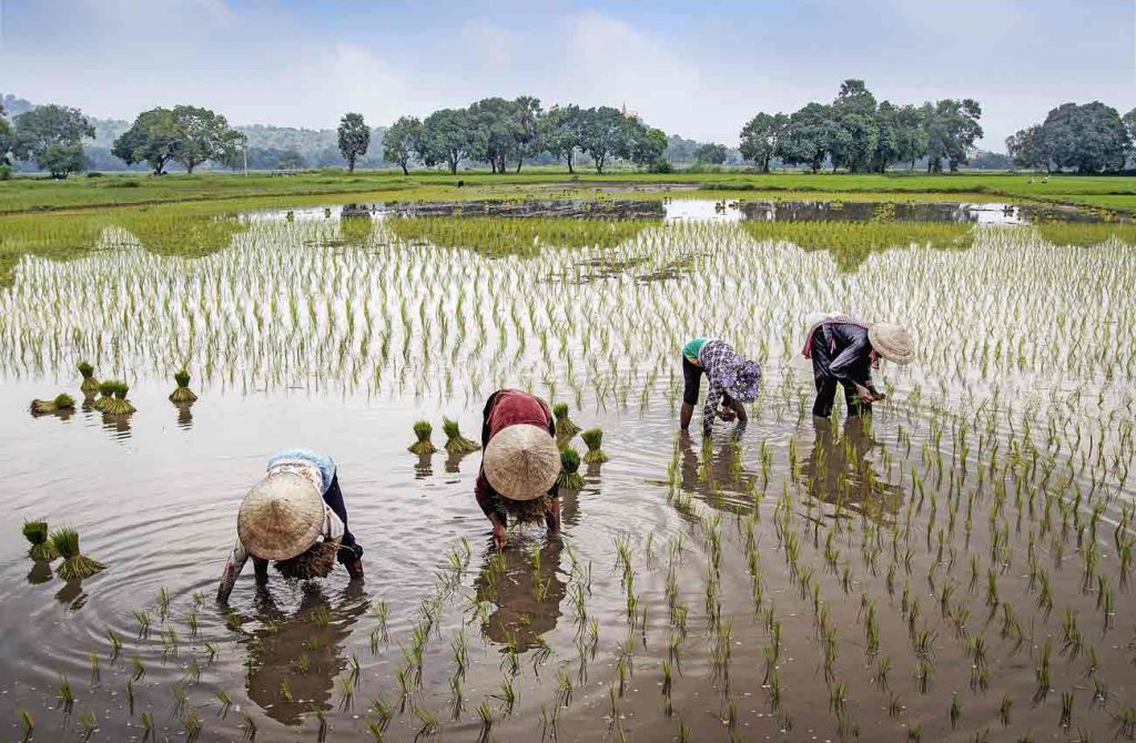 Viaje alternativo por Vietnam
