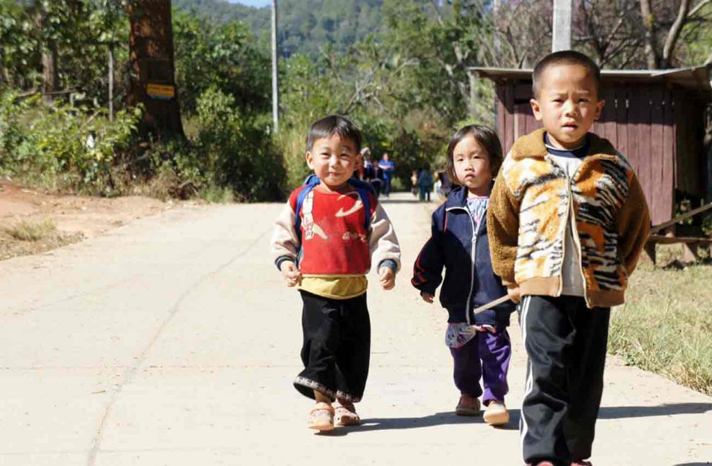 Eco-Trekking en el norte y Koh Tao