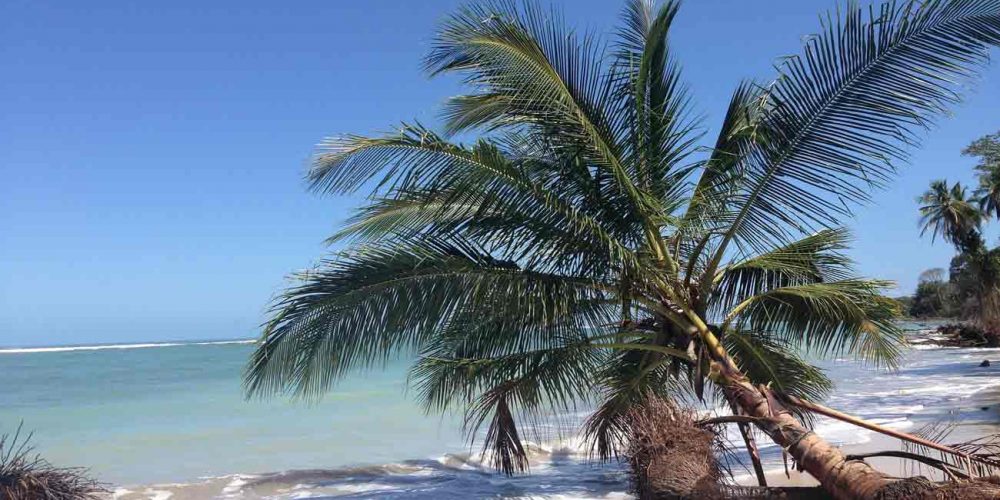 Viaje barato por Costa Rica