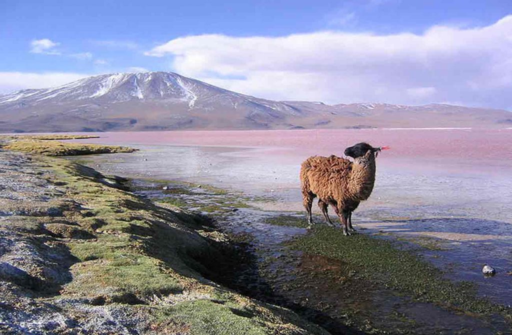 Bolivia mágica