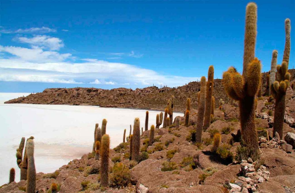 Bolivia mágica