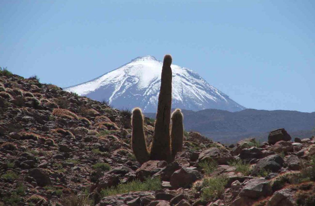 Atacama e Isla de Pascua