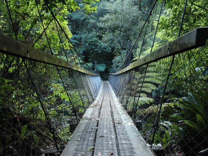 Trekking en Nueva Zelanda