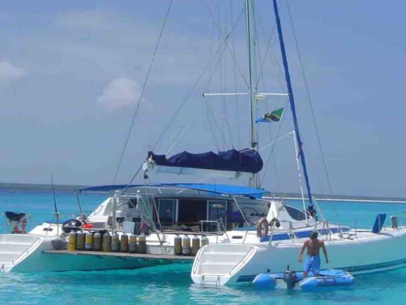 Vida a bordo buceo y safari