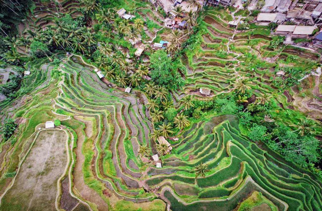 Bali y Maldivas