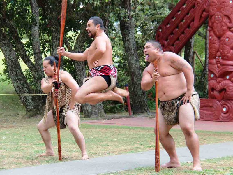 Nueva Zelanda energética