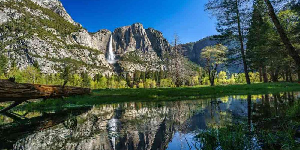 La costa Oeste americana en grupo