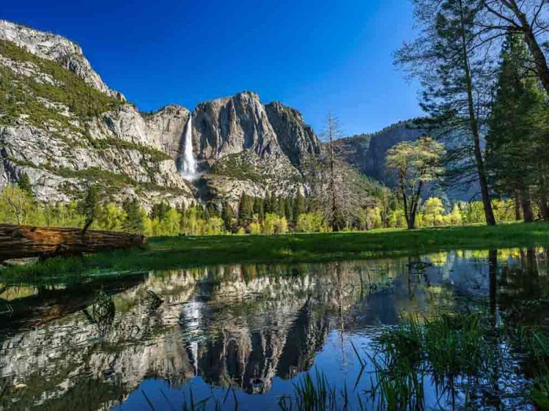 La costa Oeste americana en grupo