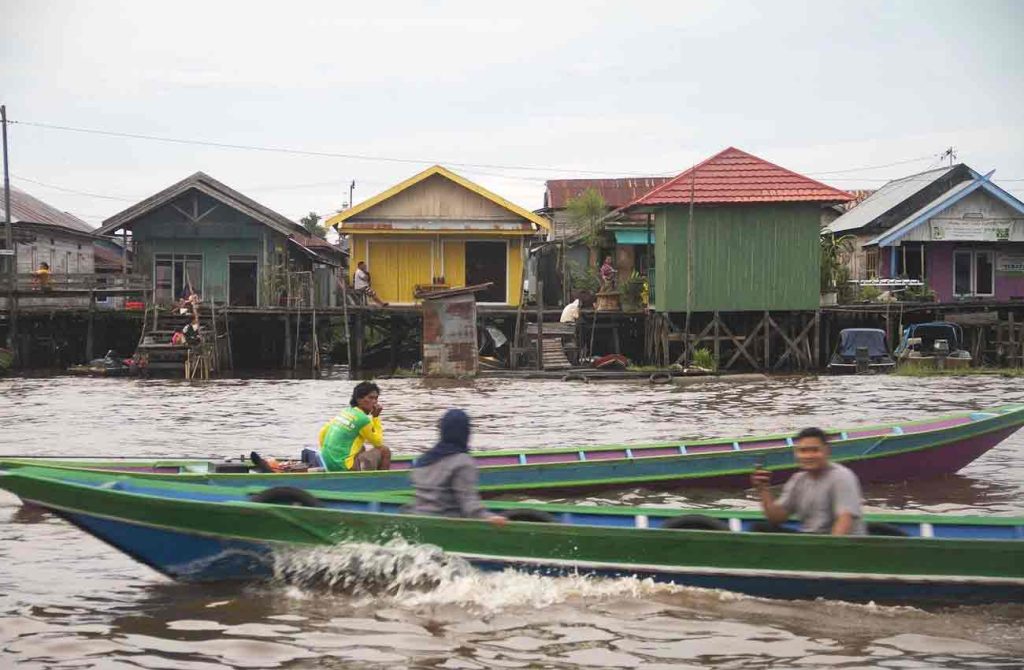 Aventura en la selva de Borneo