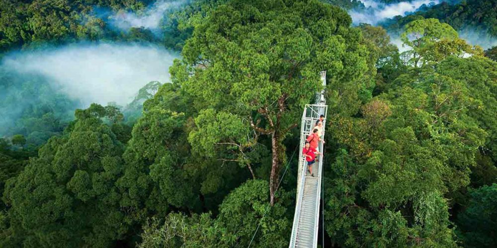 Viaje de aventura y Glampling en Costa Rica