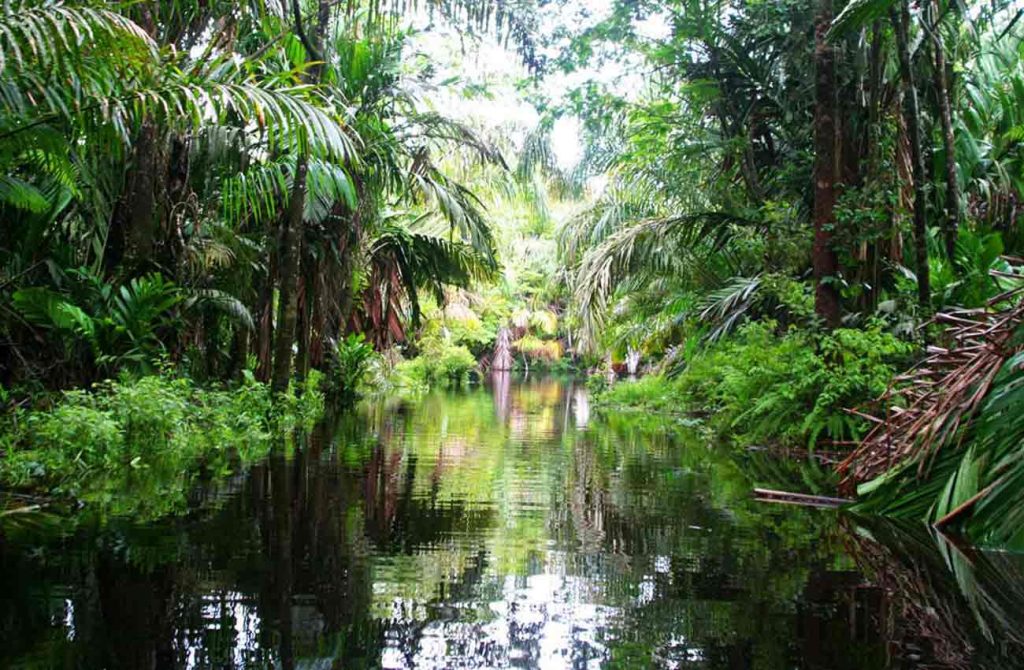 Viaje de aventura y Glampling en Costa Rica